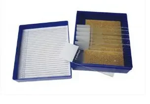 Fisher Anatomical – Control Slide Periodic Acid Tissue – 22026720