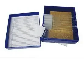 Fisher Anatomical – Control Slide Pneumocystis Tissue – 22026702