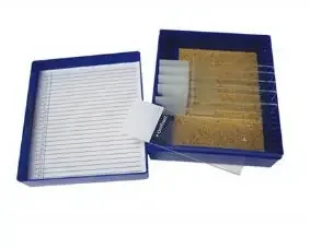 Fisher Anatomical – Control Slide Reticulum Tissue – 22026722