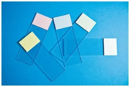 Fisherbrand Selectfrost – Microscope Slide 25 X 75 mm White Frosted End – 12550003