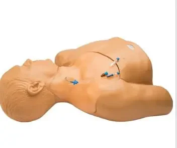 Gen II – Central Line Training Model – BPH660