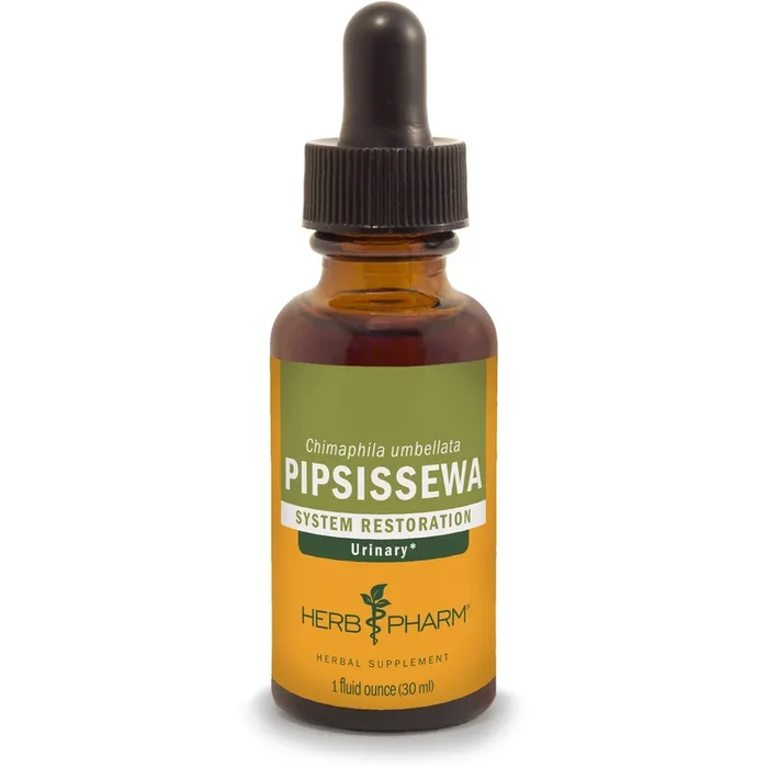 Herb Pharm Pipsissewa Liquid Extract for Urinary System Support – 1 Ounce