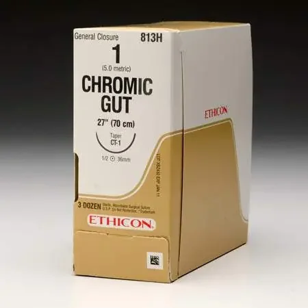 J & J Healthcare Systems – Suture without Needle Chromic Gut Absorbable Size 1 54 Inch Suture – S115H