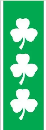 Key Surgical – Blank Label Tape Instructional Label Green, White Vinyl 1/4 Inch – T-709-03