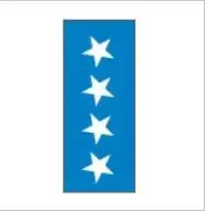 Key Surgical – Pre-Printed Label Multipurpose Label Light Blue Paper Star Symbol White Diagram / Symbol 8-1/2 X 11 Inch – T-703-02