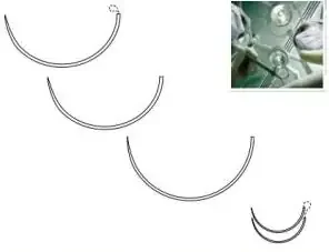 Maxon – Suture with Needle Absorbable Uncoated Green Suture Monofilament Polyglyconate Size 2 – 0 18 Inch Suture 1-Needle 26 mm Length 1/2 Circle Taper Point Needle – 8886622953
