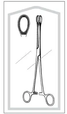Merit – Sponge Forceps Foerster-Ballenger 9-1/2 Inch Length Mid Grade Stainless Steel Sterile Ratchet Lock Finger Ring Handle Straight Serrated Fenestrated Jaws – 96-2533M