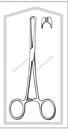 Merit – Tissue Forceps Allis 6 Inch Length Mid Grade Stainless Steel 4 X 5 Teeth – 96-2576M
