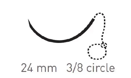 Quill Variable Loop Device, Monoderm – Suture with Needle Absorbable Uncoated Undyed Suture Barbed Monofilament Polyglycolic Acid / PCL Size 2 – 0 30 cm Suture 1-Needle 24 mm Length 3/8 Circle Reverse Cutting Needle – VLM-1002